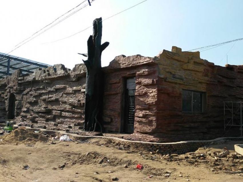 點擊查看詳細信息<br>標題：假房子 閱讀次數：1338