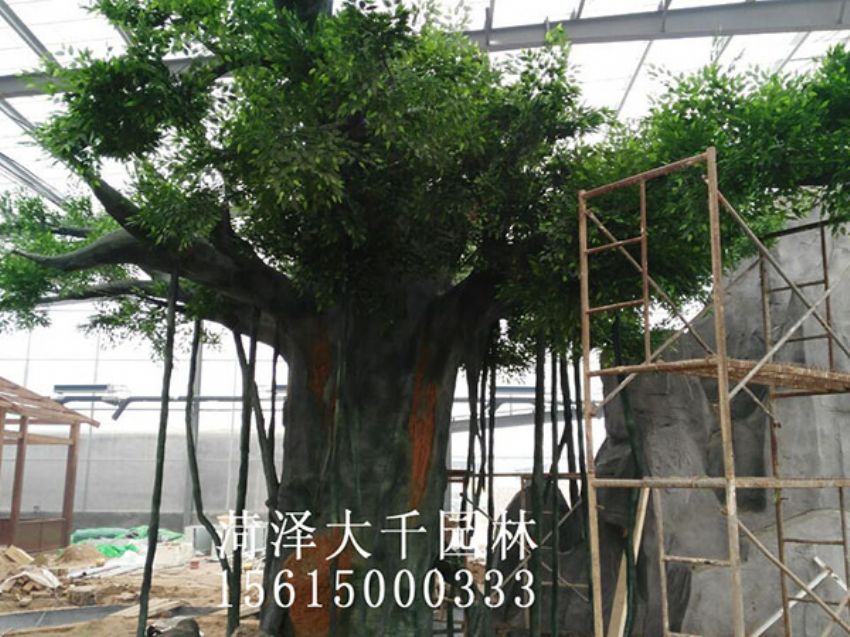 點擊查看詳細信息<br>標題：假樹 閱讀次數：1524