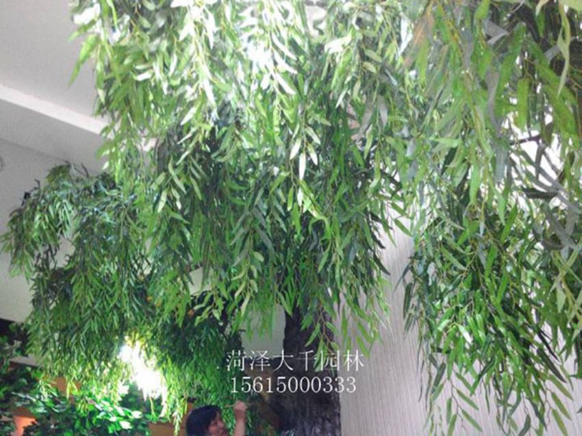 點擊查看詳細信息<br>標題：假樹 閱讀次數：1399