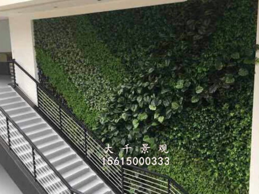 點(diǎn)擊查看詳細(xì)信息<br>標(biāo)題：綠植墻 閱讀次數(shù)：1715