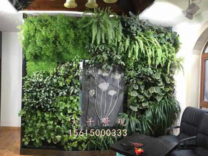 點(diǎn)擊查看詳細(xì)信息<br>標(biāo)題：綠植墻 閱讀次數(shù)：1790