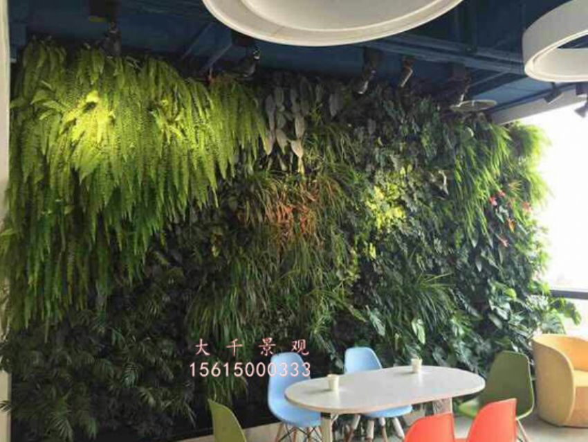 點(diǎn)擊查看詳細(xì)信息<br>標(biāo)題：綠植墻 閱讀次數(shù)：2001