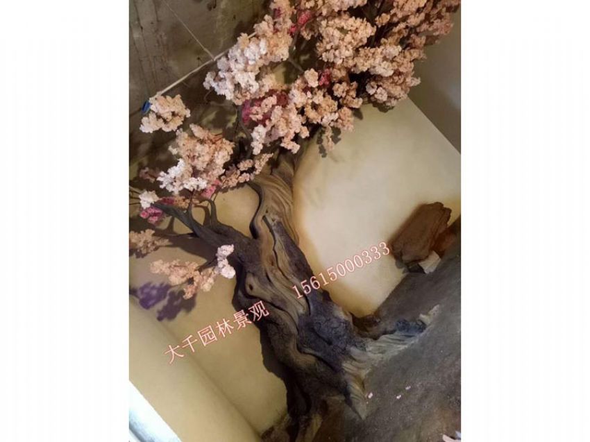 點(diǎn)擊查看詳細(xì)信息<br>標(biāo)題：假樹(shù) 閱讀次數(shù)：2558